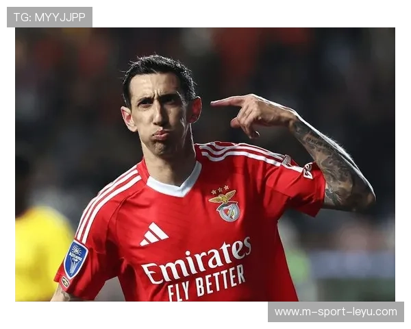 迪马利亚宣布国家队退役，结束16年征程，迪马利亚 续约