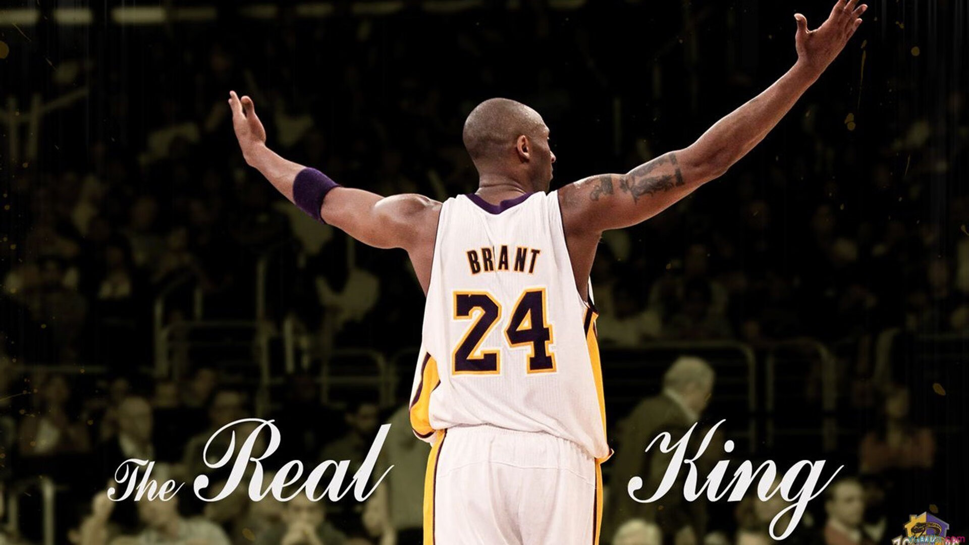 “快速、激烈,充满变化!壁球赛场在高新区全民健身馆上演极速竞技”